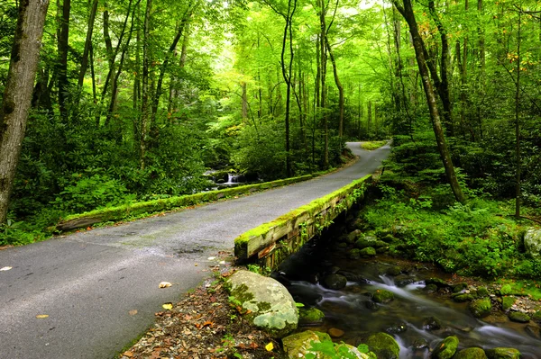 Great Smoky Mountains National Park — Stock Photo, Image