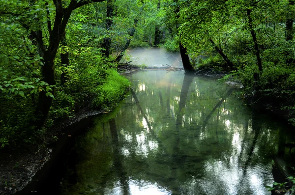 Grande parque nacional da montanha Smoky, Tennessee — Fotografia de Stock