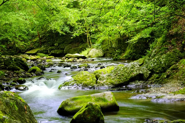 Büyük Dumanlı Dağı Milli Parkı — Stok fotoğraf