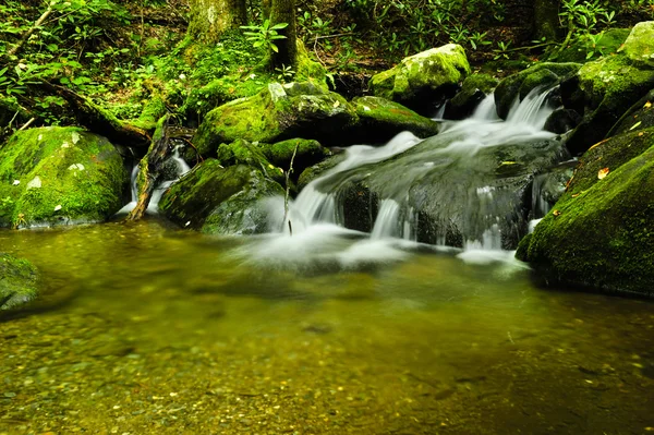 Parc national de Great Smoky Mountain — Photo