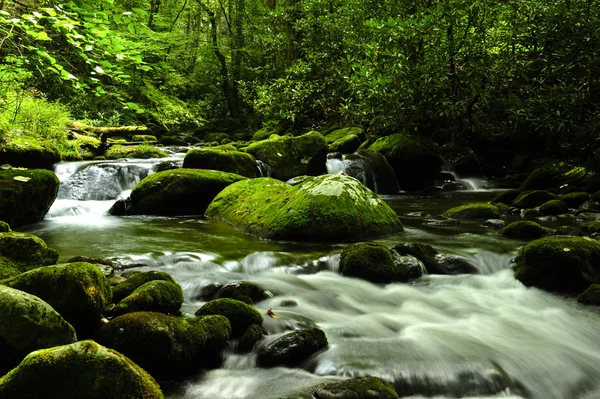 Parco Nazionale delle Grandi Montagne Smokey — Foto Stock