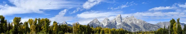 Web Banner Der Grand Tetons — Stockfoto