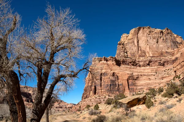 Exploration Chemin Terre Avec Des Formations Rocheuses Rouges Près Moab — Photo