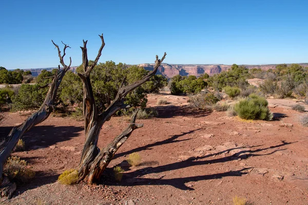 Paisaje Parque Nacional Canyonlands — Foto de Stock