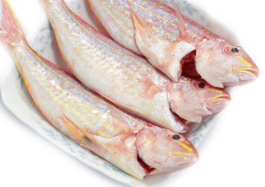 Red snapper balık izole üzerinde beyaz arka plan