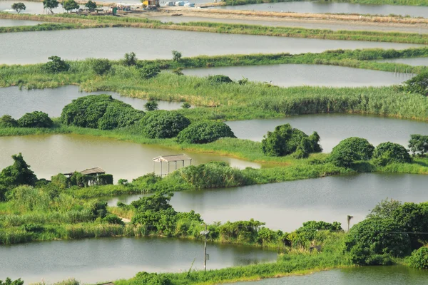 Arroz terraza paisaje en China — Foto de Stock