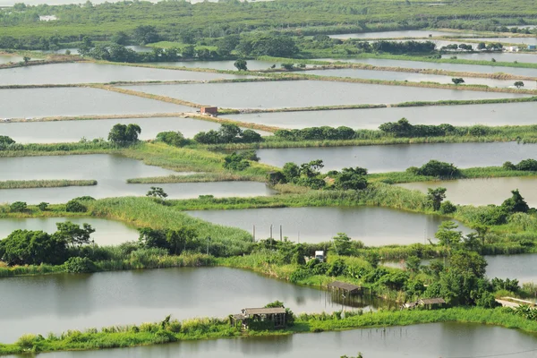 Ris terrass liggande i Kina — Stockfoto