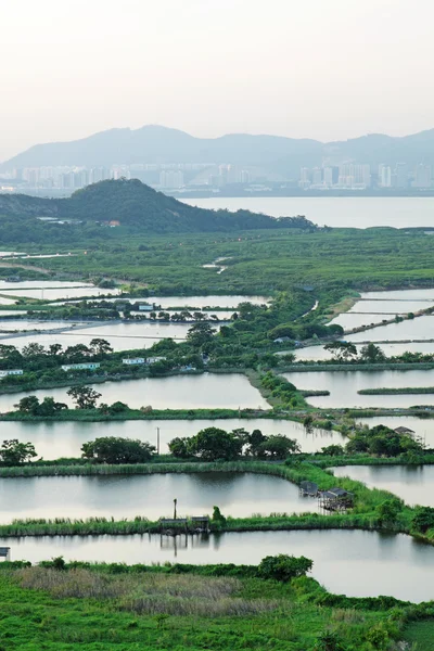 Paisagem de terraço de arroz na China — Fotografia de Stock