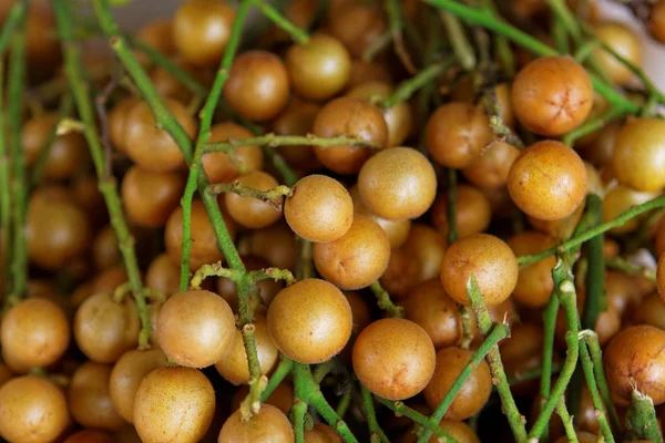 Longan a zöld fán — Stock Fotó