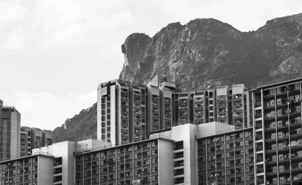 Hongkong bydlení krajina pod Lví skála — Stock fotografie