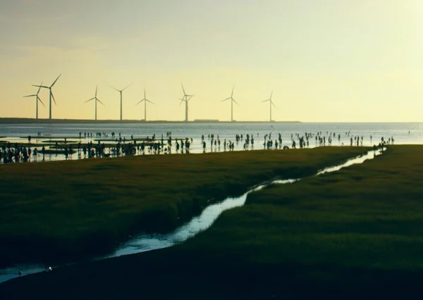 Molino de viento al atardecer en la costa — Foto de Stock