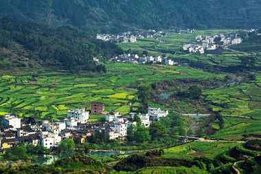 Rural landscape in wuyuan county clipart