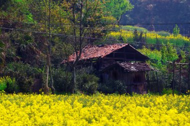 wuyuan İlçesi kırsal manzara