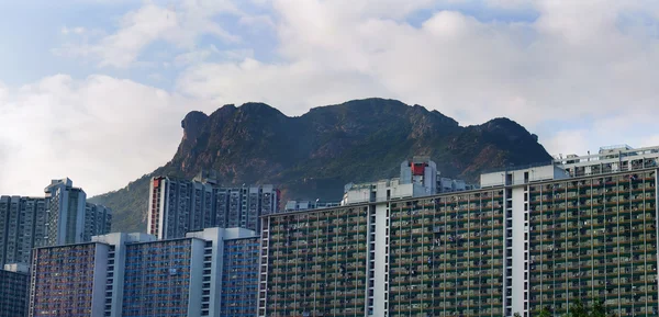 Hong kong konut manzara