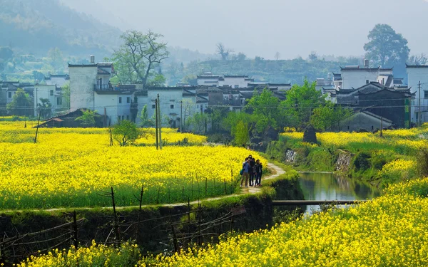 Ländliche Landschaft im Kreis Wuyuan — Stockfoto