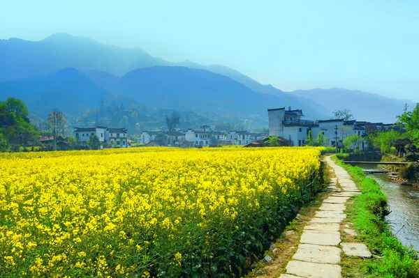 Paesaggio rurale nella contea di Wuyuan — Foto Stock