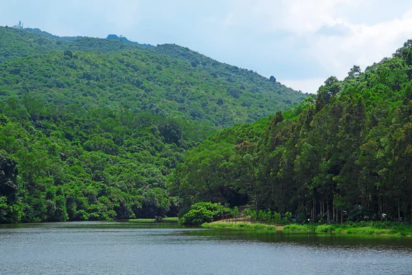 Paisaje de árboles con lago —  Fotos de Stock