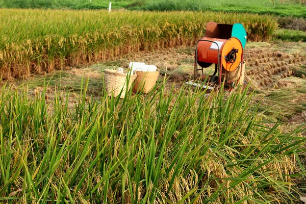 Máquina de madeira de arroz vintage — Fotografia de Stock