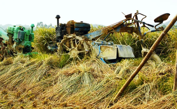 Tractor on rice farm — Stock Photo, Image