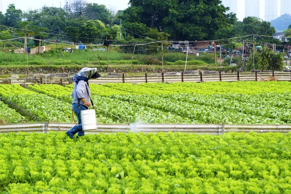 Terras cultivadas e pulverização de agricultores — Fotografia de Stock