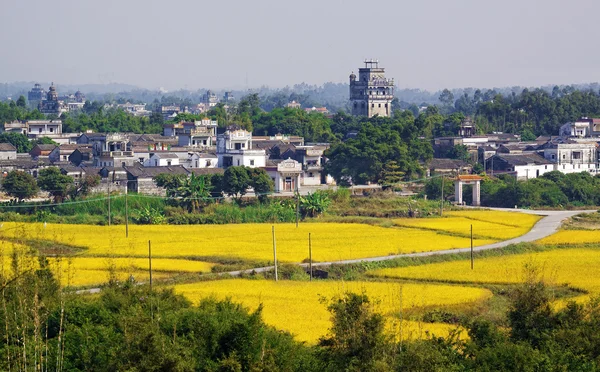 Kaiping diaolou και χωριά στην Κίνα — 图库照片