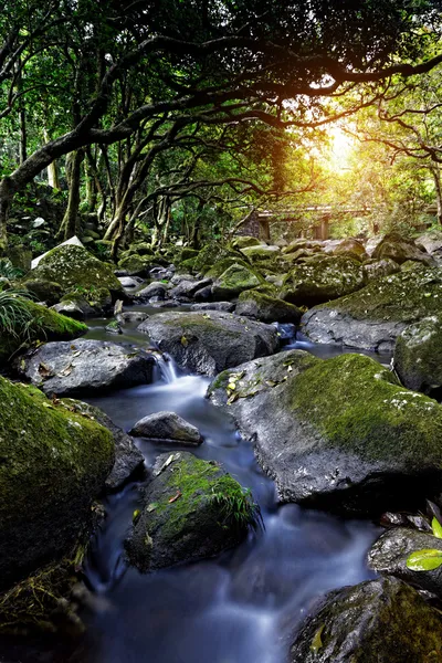 Cascade falls over mossy rocks — Stock Photo, Image