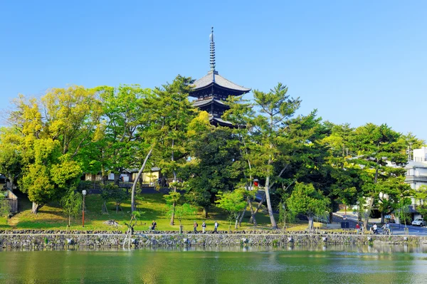 Nara, Japón en Sarusawa Pond . —  Fotos de Stock