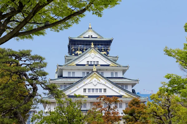 Château d'Osaka — Photo