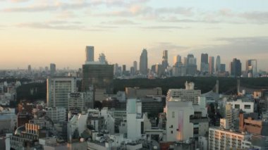 tokyo manzarası