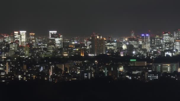 Skyline van Tokyo — Stockvideo