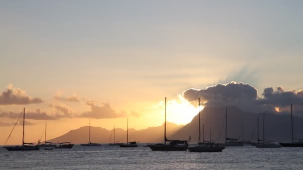 Sunset behind Moorea — Stock Video