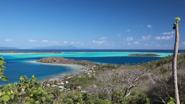 Bora bora — Vídeo de stock