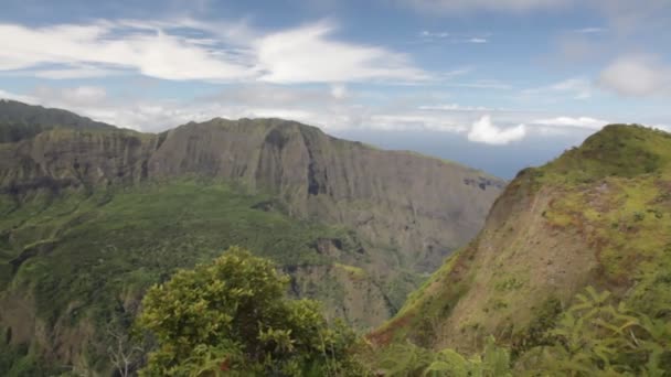 Innenraum von Tahiti — Stockvideo