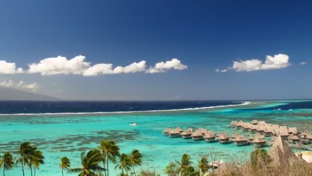 Laguna de Moorea — Vídeo de stock