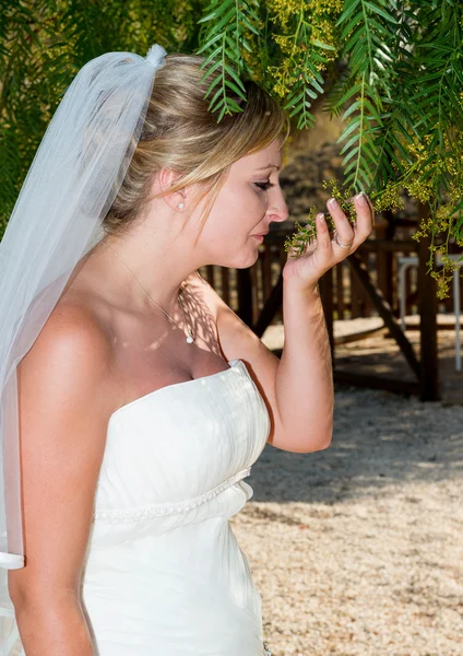 Bride in the garden on her wedding day — Stock Photo, Image