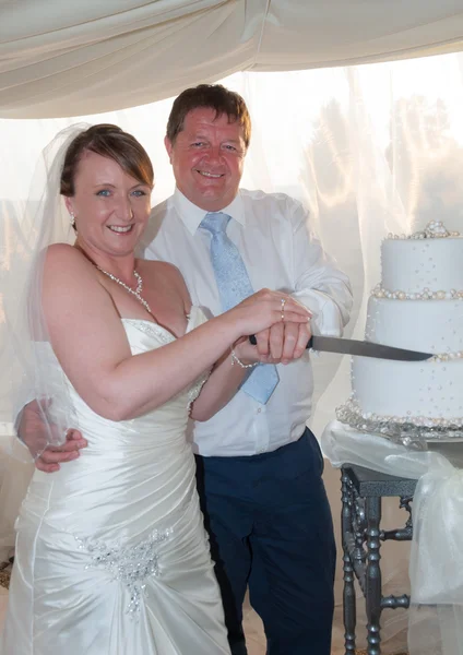 Bride and Groom cutting the cake — Stock Photo, Image