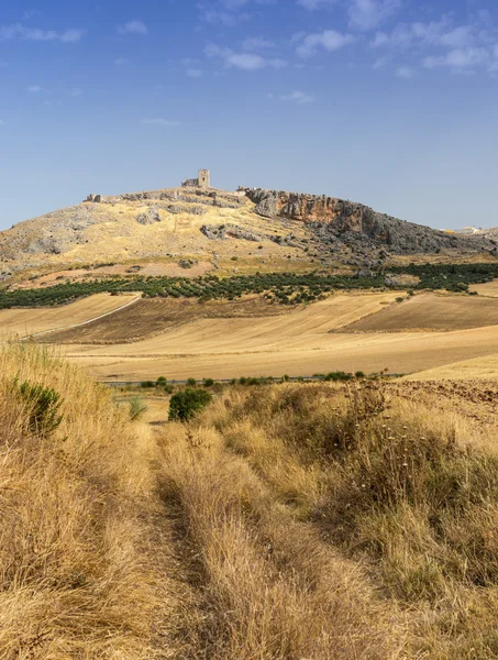 Teba замок — стокове фото