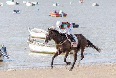 Sanlucar De Barrameda Beach Horse Racing 8th August 2013 clipart