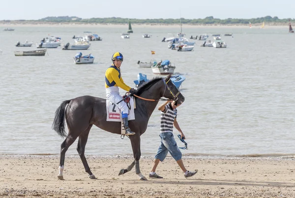 Sanlucar De Barrameda Beach Horse Racing 8 Agosto 2013 — Fotografia de Stock