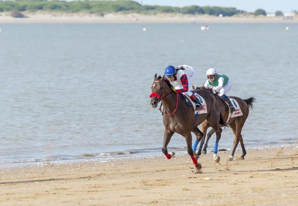 Sanlucar de barrameda strand paardenrennen 8 augustus 2013 — Stockfoto