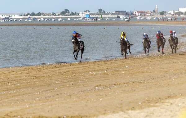 Sanlucar De Barrameda Beach Horse Racing 8 августа 2013 — стоковое фото