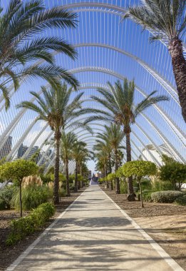 Sanat ve bilim şehri