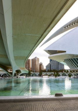 Sanat ve bilim şehri