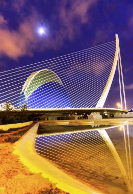 Sanat ve bilim şehri