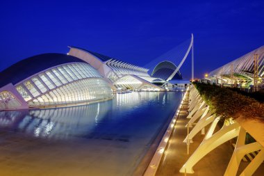 Sanat ve bilim şehri