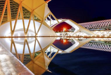 Sanat ve bilim şehri