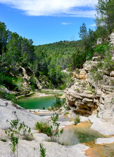 Rio Los Charcos e cachoeira — Fotografia de Stock