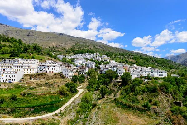 Χωριό trevelez — Φωτογραφία Αρχείου