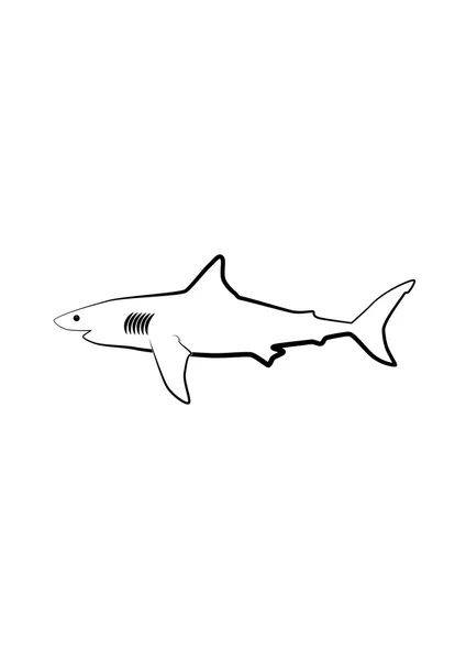 Sur fond blanc, l'image vectorielle blanche d'un requin est noire — Image vectorielle