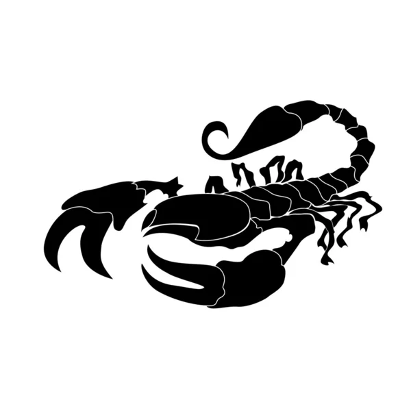 Black Scorpion — Stock Vector